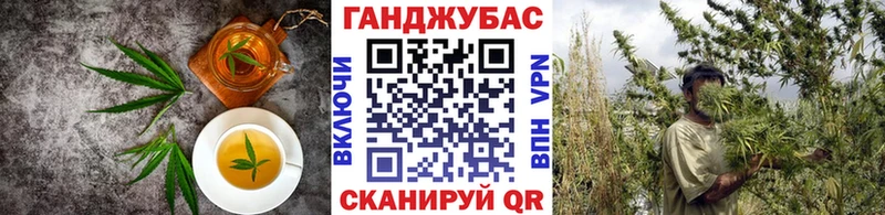 Купить закладки  Усть-Лабинск  Cannafood конопля 