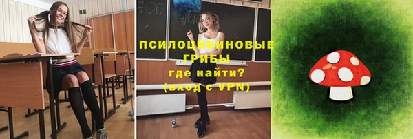 apvp Заволжск