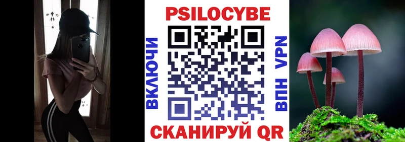 Псилоцибиновые грибы мицелий  Купить  Усть-Лабинск 